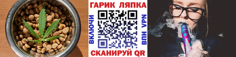 MEGA ССЫЛКА  Вичуга  Canna-Cookies марихуана 