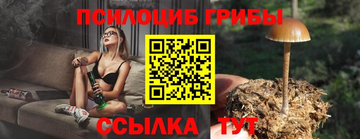 Галлюциногенные грибы GOLDEN TEACHER Вичуга