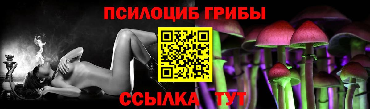 Вичуга  купить закладку  Галлюциногенные грибы Psilocybe  Вход с VPN  Псилоцибиновые грибы Psilocybe 