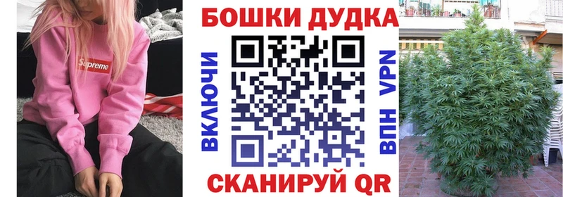 KRAKEN ссылки  Вичуга  Канабис SATIVA & INDICA 