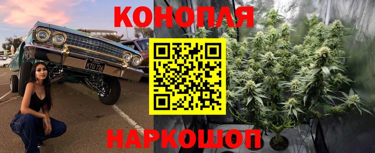 Марихуана Amnesia  Вход с VPN  Шишки марихуана VHQ  Каннабис сатива  Вичуга 